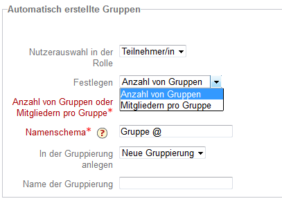 Automatisch erstellte Gruppen Optionen.png