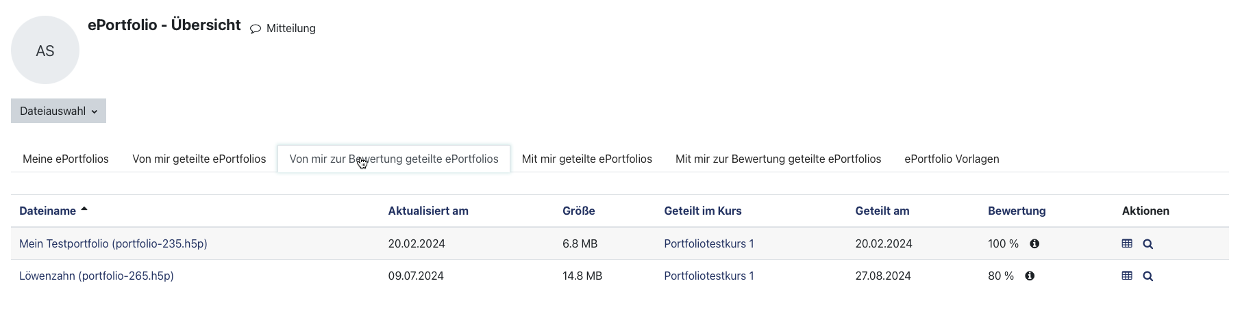 EPortfolio Bild 28.png