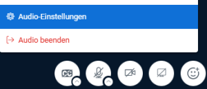 Audioeinstellungen über den kleinen Pfeil am Mikrofonicon abrufen
