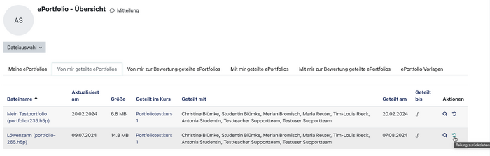 EPortfolio Bild 22.png