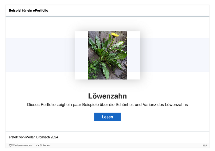 EPortfolio Bild 10.png